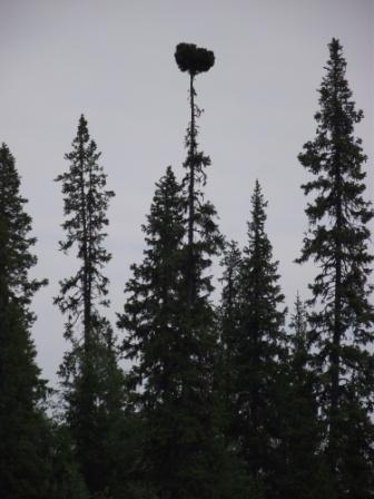 11-04